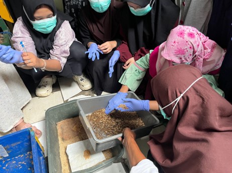 [Deskripsi Gambar Utama]