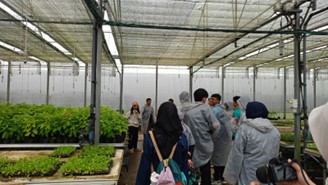 [Deskripsi Gambar Utama]