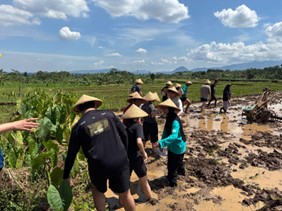   Rice Cultivation by SUSS student